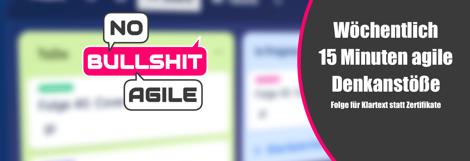 No Bullshit Agile - Agiles Arbeiten - Teams und Führung